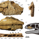 Imagen para el artículo titulado Los primeros Tyrannosaurus eran una víctima más de este enorme nuevo dinosaurio con dientes de tiburón